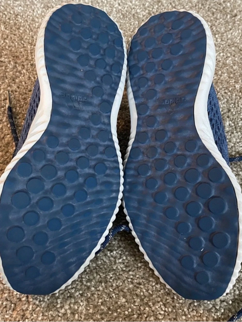 adidas Blue Alpha Bounce Running Shoes